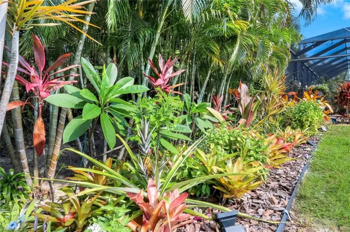 Low maintenance and native vegetation