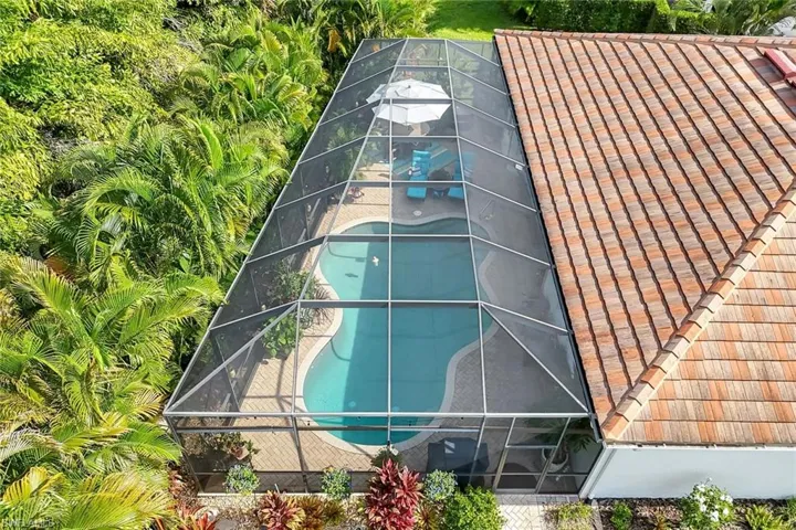 Back boundary lined and landscaped with Areca Palms-green fence of privacy