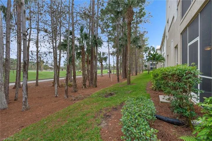 View of green lawn