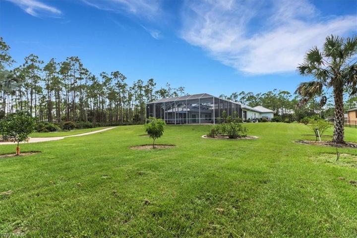 Incredible Lot with Fruit Trees