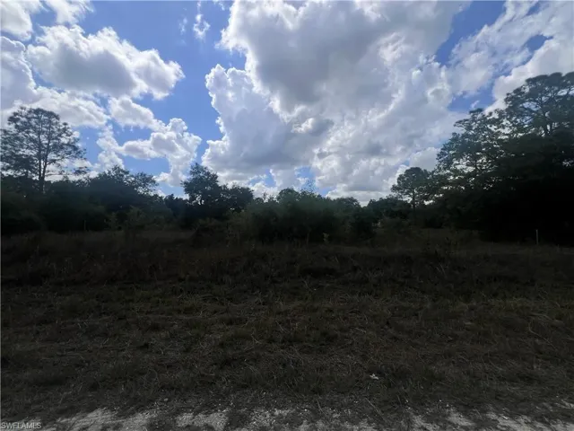 View of local wilderness