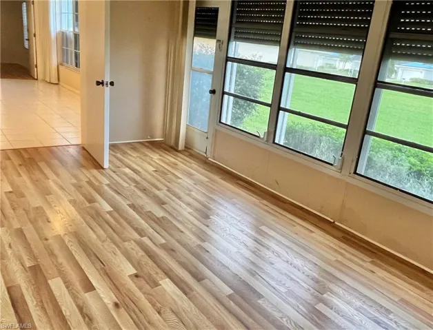 Empty room featuring a healthy amount of sunlight and light hardwood / wood-style flooring