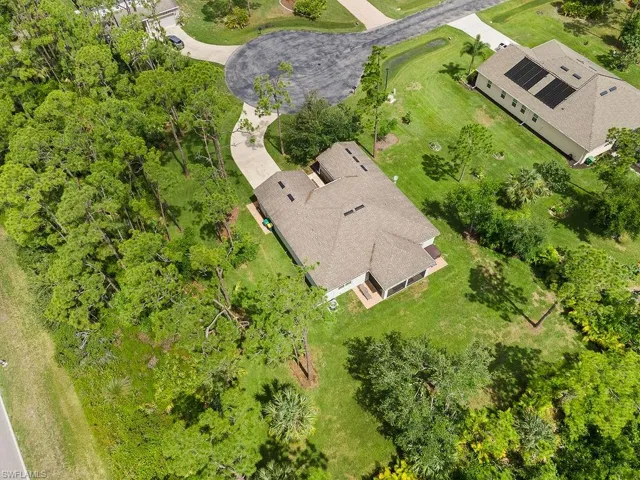 View of bird's eye view