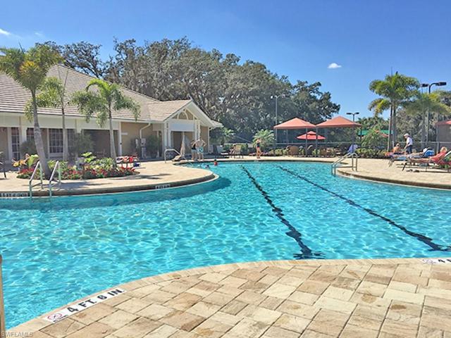 Huge Lap Pool