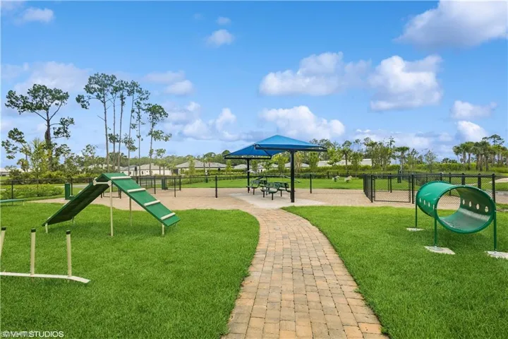 Dog Park
