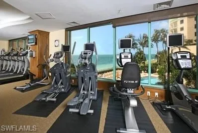 Exercise room with a wealth of natural light