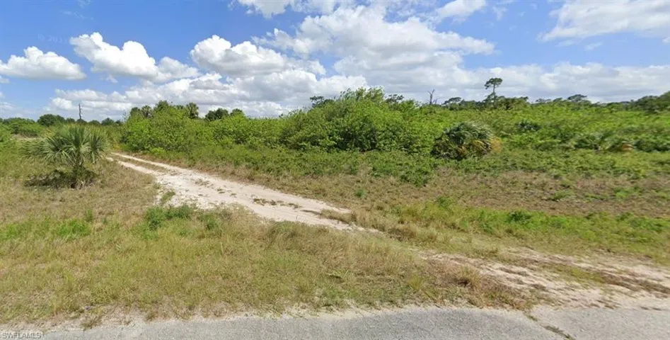 View of local wilderness