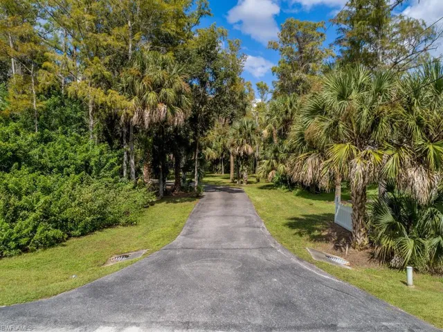 Driveway