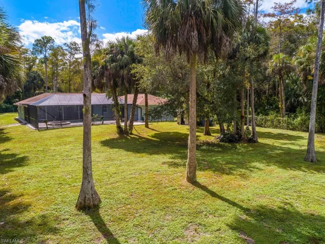 Fenced back yard
