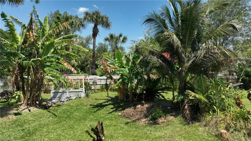 13 different fruit trees!