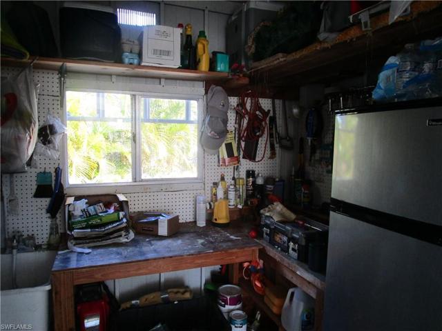 Shed