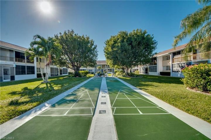 Shuffleboard
