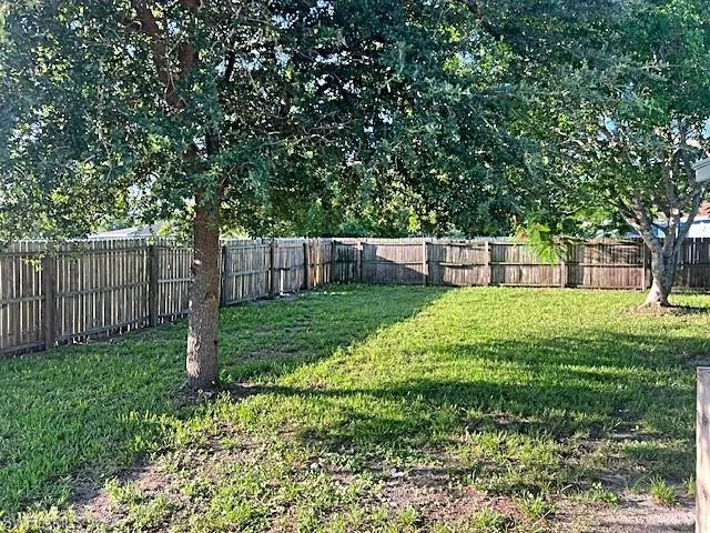 Back yard