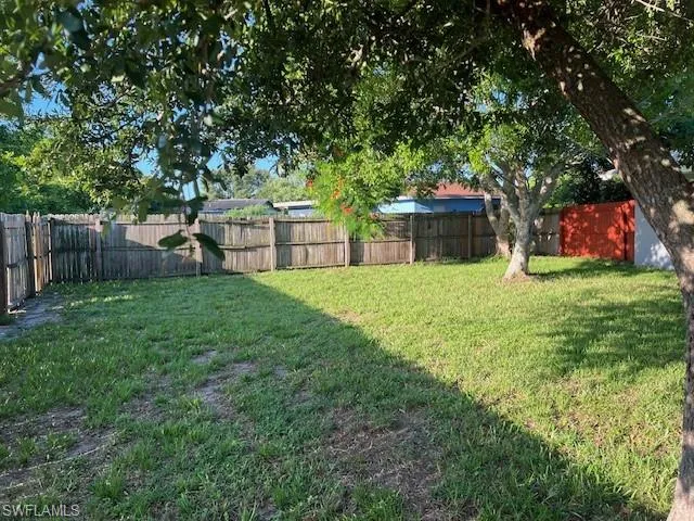 Back yard