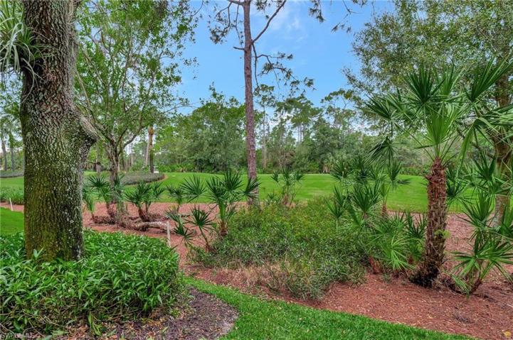 Area behind the home