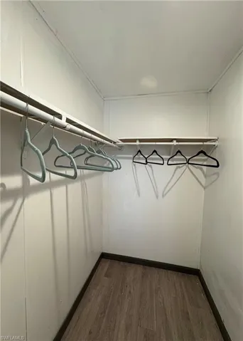 Spacious closet featuring dark wood-type flooring
