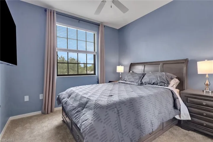 Multi-pane window with dark trim, ceiling fan, and neutral carpeting