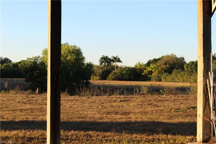 View of undeveloped land