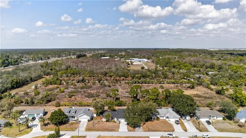 Aerial perspective of suburban area featuring a forest