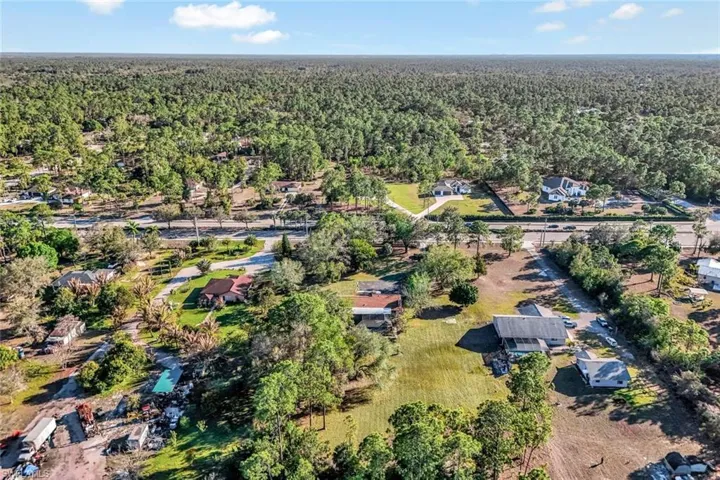 Drone / aerial view of a forest