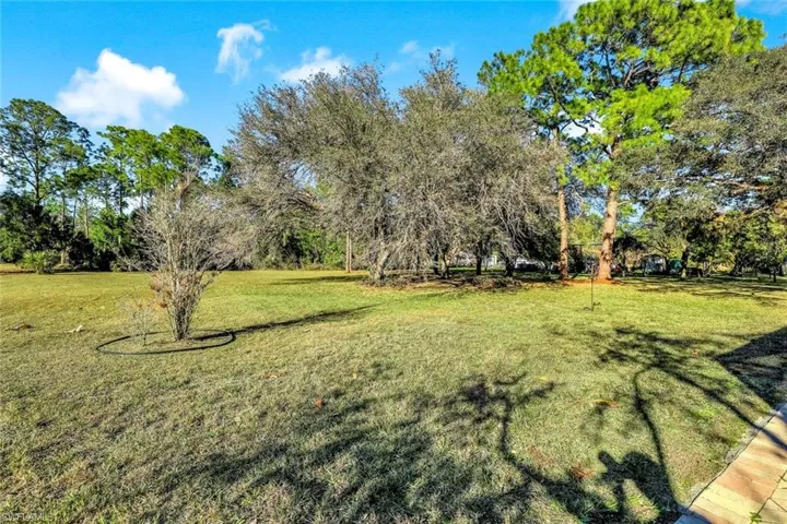 View of grassy yard featuring view of scattered trees