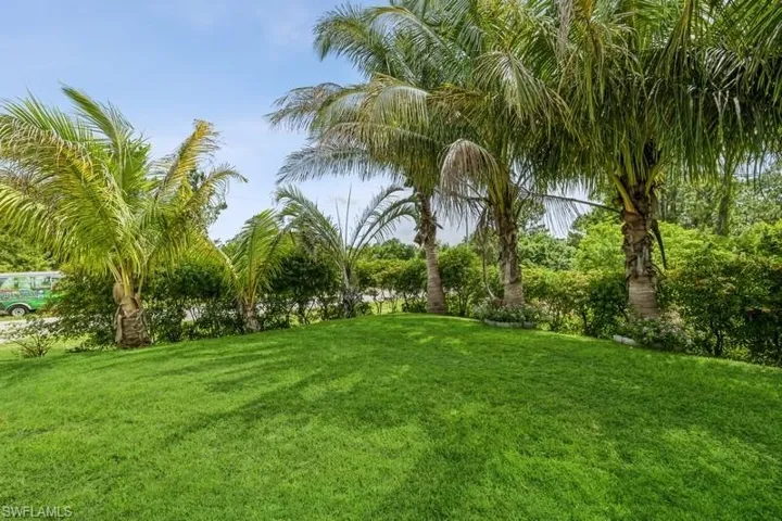 View of green lawn