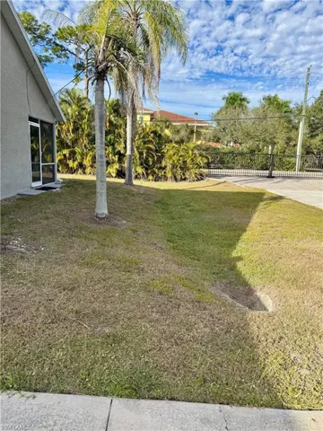 Side yard showing emergency Gate