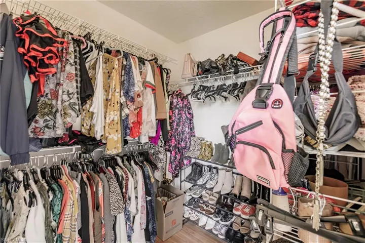 Spacious closet with wood-type flooring