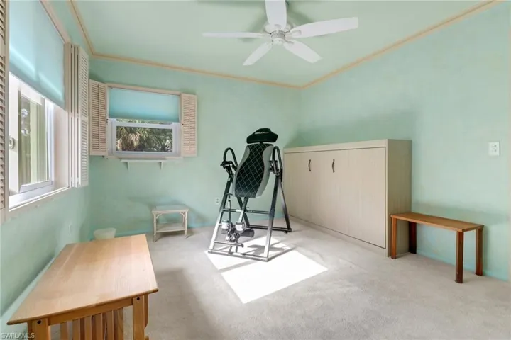Exercise room featuring crown molding, a ceiling fan, and carpet floors