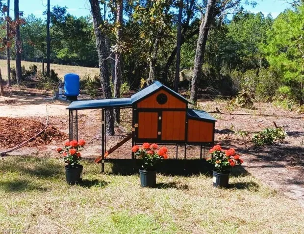 View of playground
