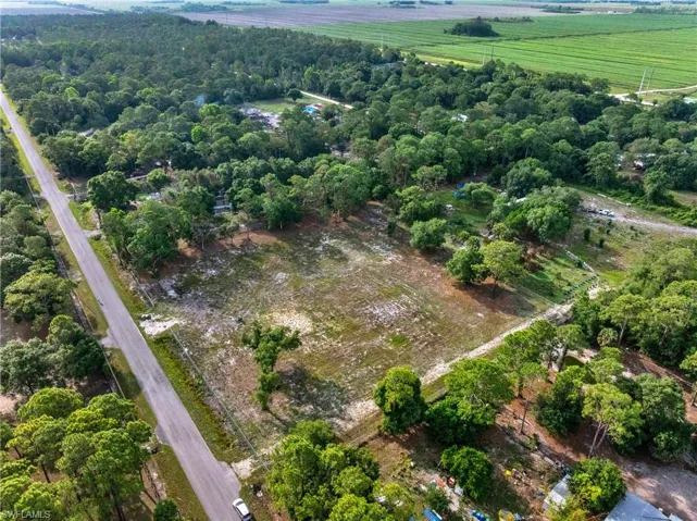 Expansive vacant land parcel featuring a cleared central area, perimeter trees, and direct road frontage