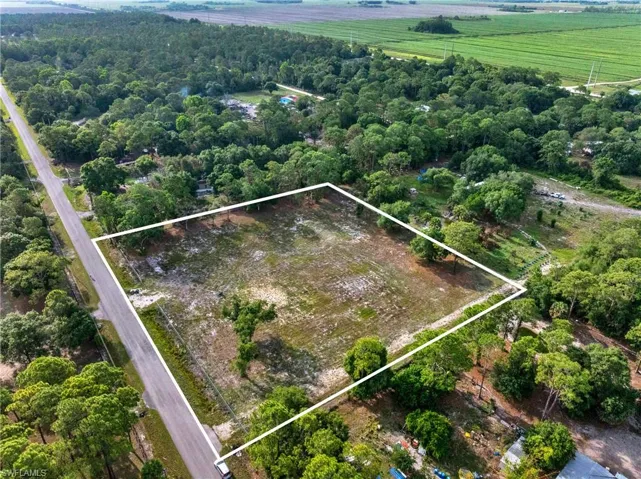 Expansive parcel with clear boundaries, bordered by a paved roadway and mature trees