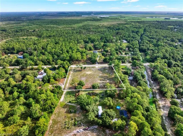 Cleared parcel with mature trees and a perimeter defined by white boundary lines