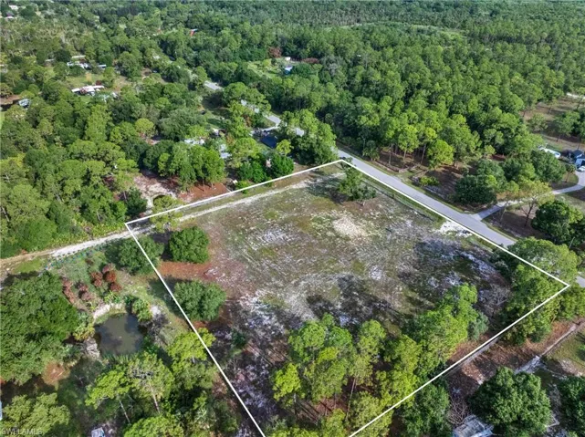 Cleared lot surrounded by mature trees