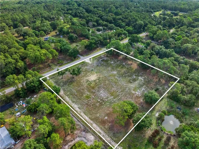 Expansive cleared parcel outlined with a white border, featuring mature perimeter trees and direct road frontage
