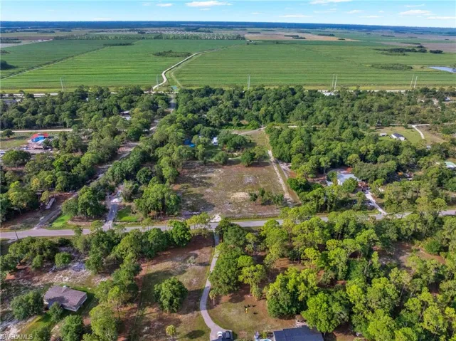 Expansive aerial capturing surrounding agricultural fields, mature tree canopy, and established roadways