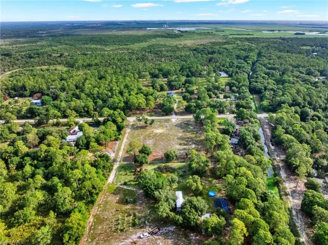Aerial perspective showcasing a large cleared lot surrounded by mature trees, with additional forested land in the background