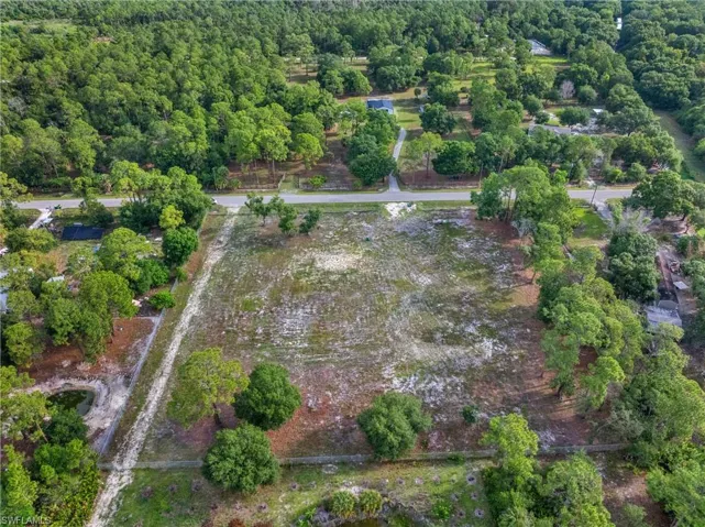 Expansive cleared lot bordered by mature trees and natural vegetation