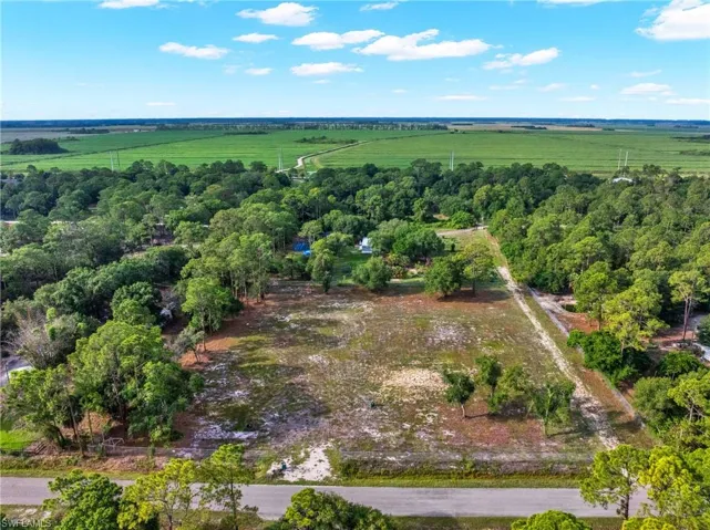 Expansive land parcel featuring partial tree coverage, a cleared central area, and a paved road frontage