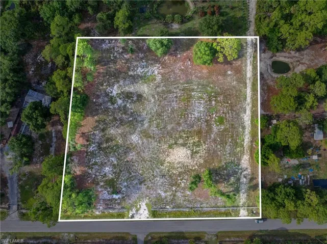 Expansive cleared lot with mature perimeter trees and direct road frontage