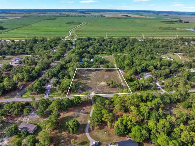 Expansive cleared lot outlined in white, surrounded by mature trees