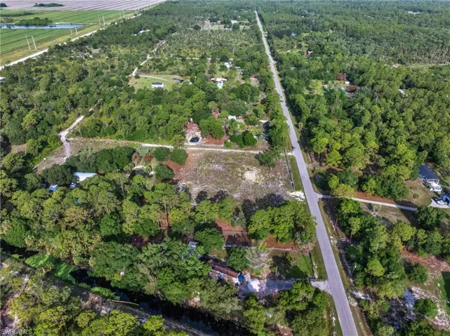 Expansive undeveloped land featuring a combination of dense tree cover and cleared areas, providing a foundation for various uses