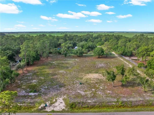 Expansive cleared lot with scattered mature trees and natural landscaping