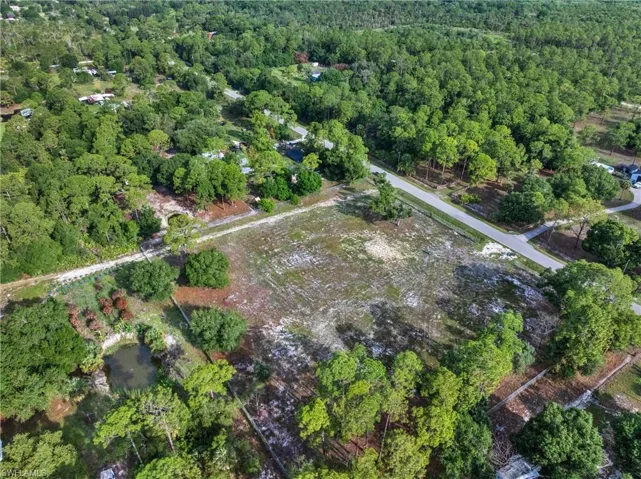 Expansive cleared lot bordered by mature trees and natural foliage
