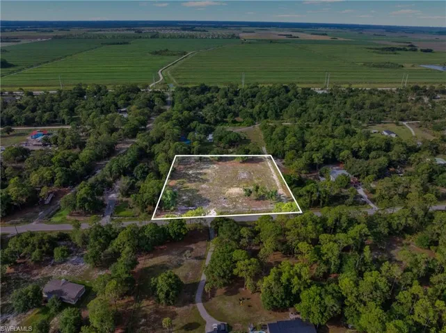 Expansive cleared land parcel outlined in white, surrounded by mature trees