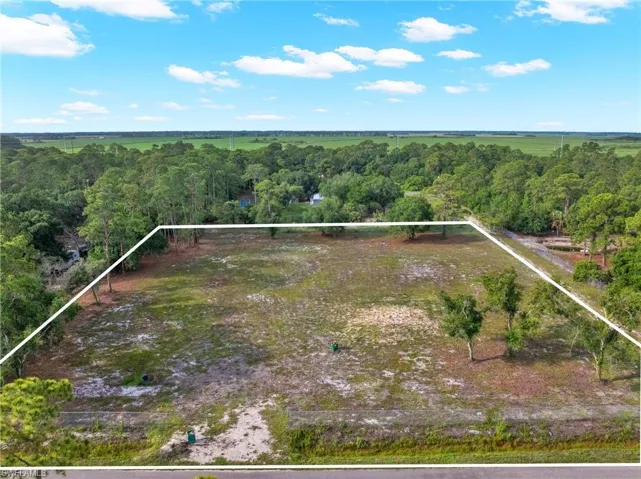 Expansive undeveloped lot featuring a mix of cleared and treed areas, surrounded by mature foliage