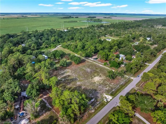 Expansive cleared lot bordered by mature trees and a paved roadway