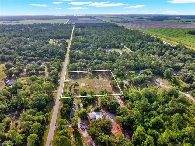 Cleared lot with mature trees and direct road frontage