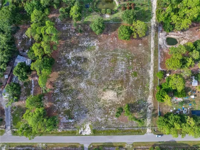 Expansive land parcel featuring partial tree coverage and a clear road frontage