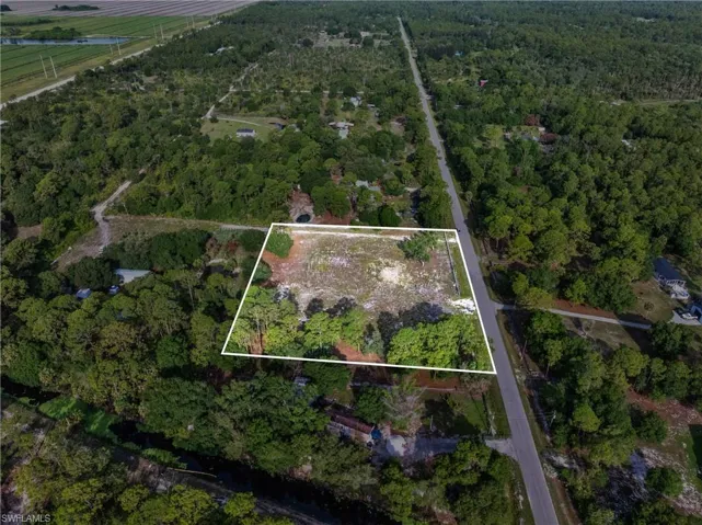 Cleared land parcel bordered by mature trees